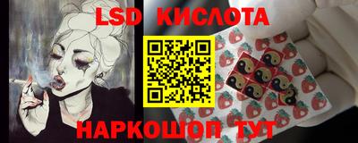 соль ск Сланцы