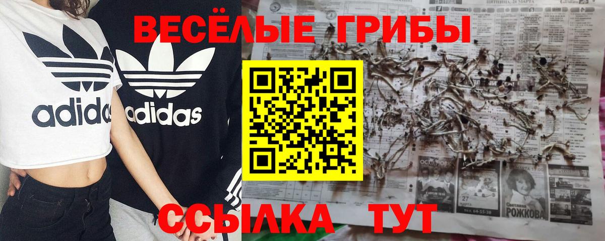 Галлюциногенные грибы прущие грибы Полевской